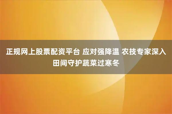 正规网上股票配资平台 应对强降温 农技专家深入田间守护蔬菜过寒冬