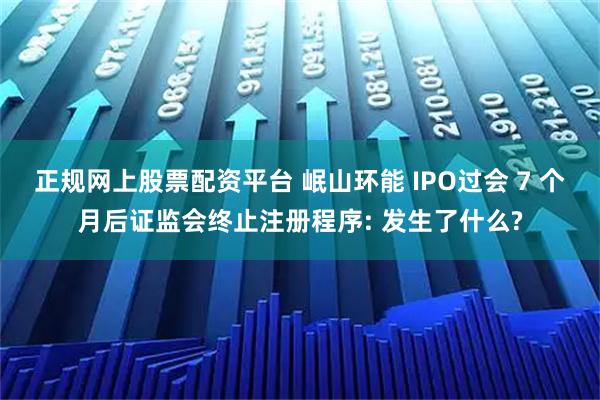 正规网上股票配资平台 岷山环能 IPO过会 7 个月后证监会终止注册程序: 发生了什么?